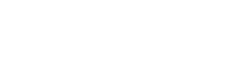 University of South Australia